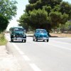 Montevago 2010 (473)